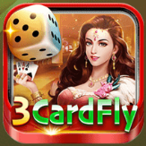 3 Card Fly icon